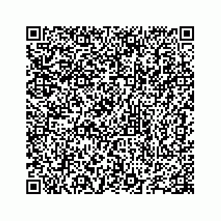 vCard 78655738159