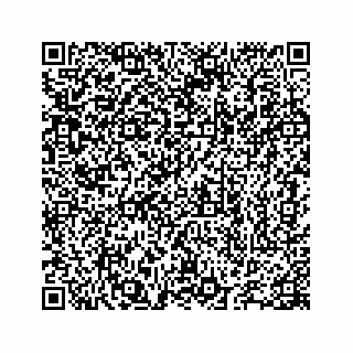 vCard 78655738167