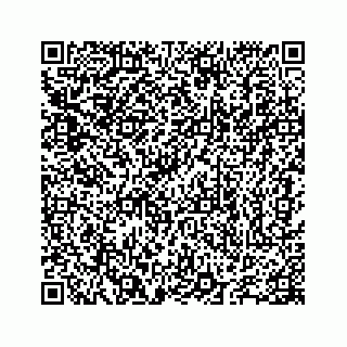 vCard 78655738173