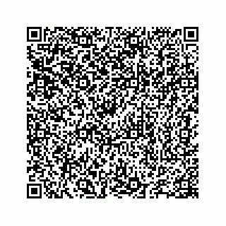 vCard 78655738175