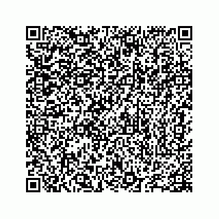 vCard 78655738177