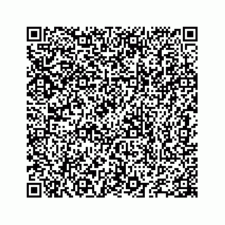 vCard 78655738178