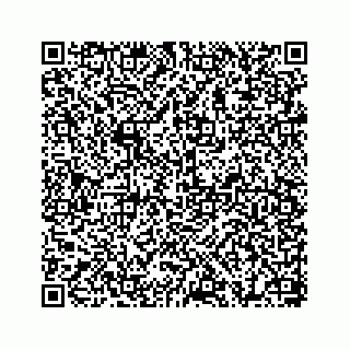 vCard 78655738179