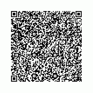 vCard 78655738180