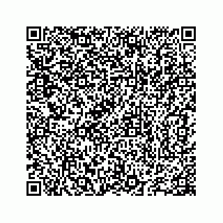 vCard 78655738187
