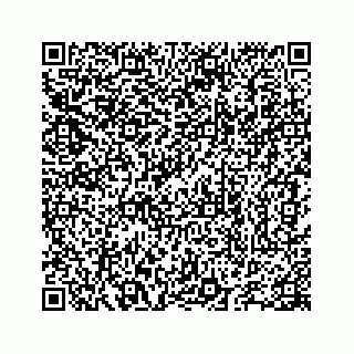 vCard 78655738193