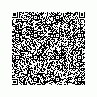 vCard 78655738195