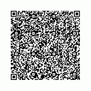 vCard 78655738197