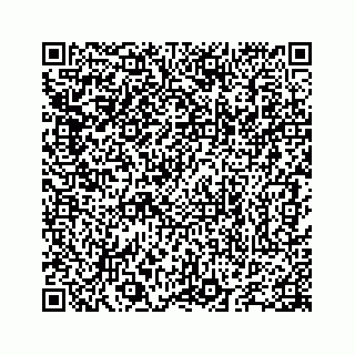 vCard 78655738203