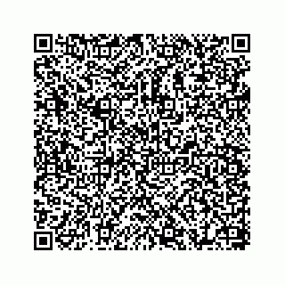 vCard 78655738211