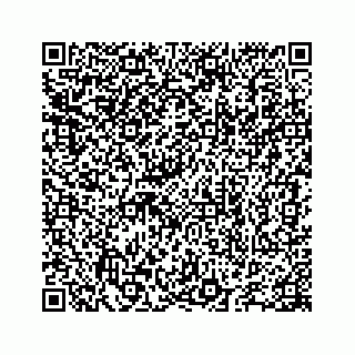 vCard 78655738219