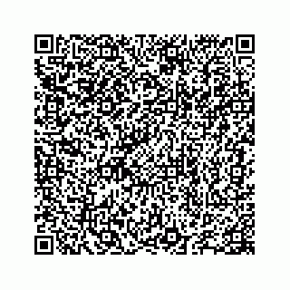 vCard 78655738229