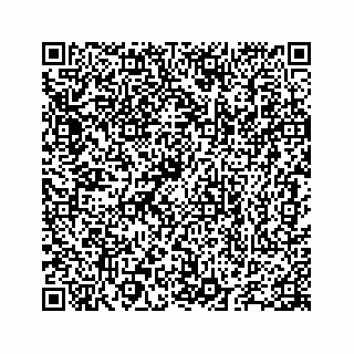 vCard 78655738231