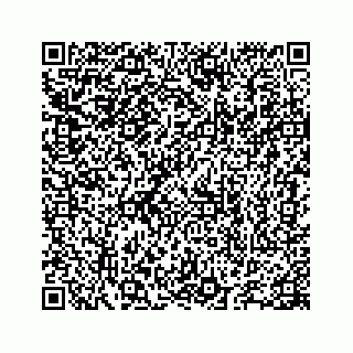 vCard 78655738235