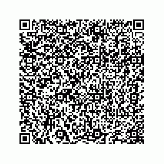 vCard 78655738239