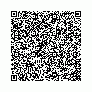 vCard 78655738240