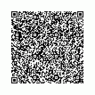 vCard 78655738241