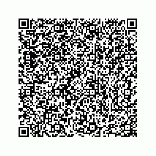 vCard 78655738243