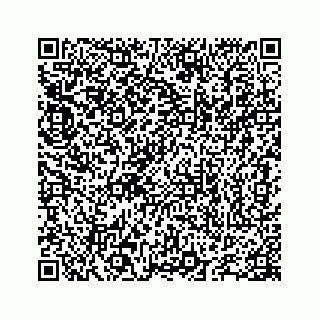 vCard 78655738247