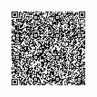 vCard 78655738249