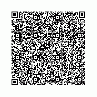 vCard 78655738251
