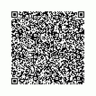vCard 78655738253