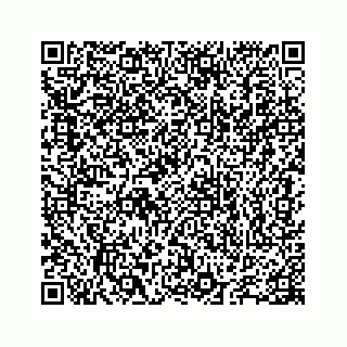 vCard 78655738256