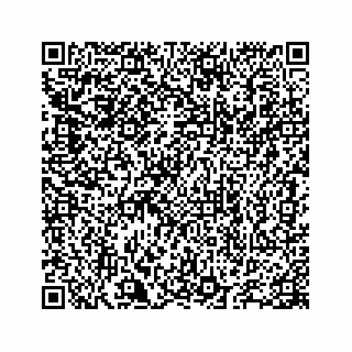 vCard 78655738259