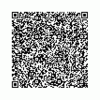 vCard 78655738263