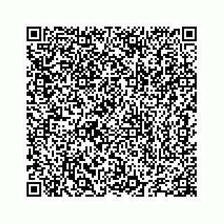 vCard 78655738265