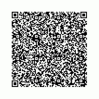 vCard 78655738269