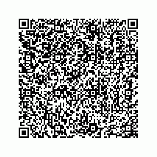 vCard 78655738273