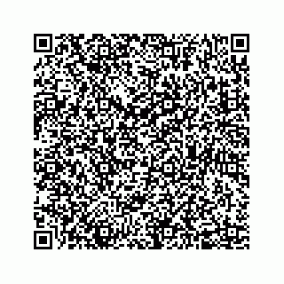 vCard 78655738275