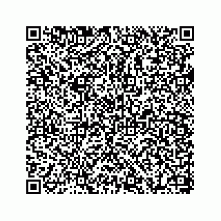vCard 78655738281