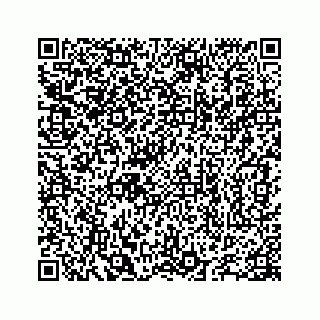 vCard 78655738287