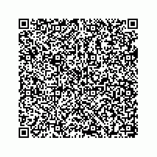 vCard 78655738288