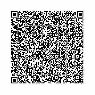 vCard 78655738291