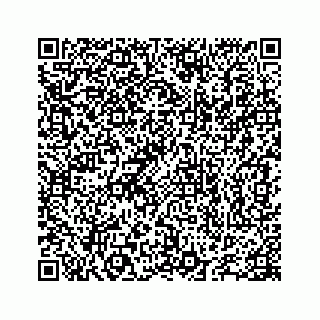 vCard 78655738296