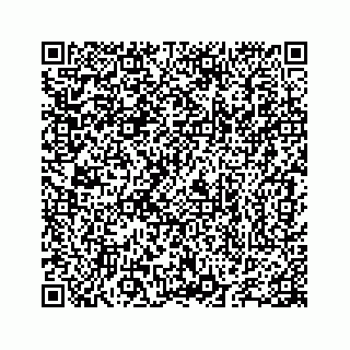 vCard 78655738297