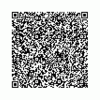 vCard 78655738299