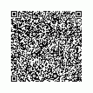 vCard 78655738304