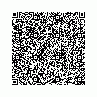vCard 78655738305