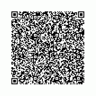 vCard 78655738306