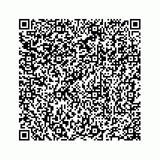 vCard 78655738310