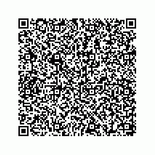 vCard 78655738311