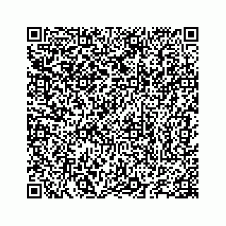 vCard 78655738312