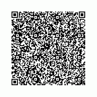 vCard 78655738313