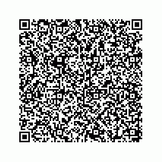 vCard 78655738317