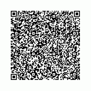 vCard 78655738319