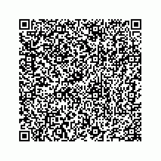 vCard 78655738320